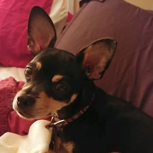 Meet your Posher, Debra